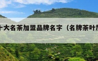 中国十大名茶加盟品牌名字（名牌茶叶加盟店）